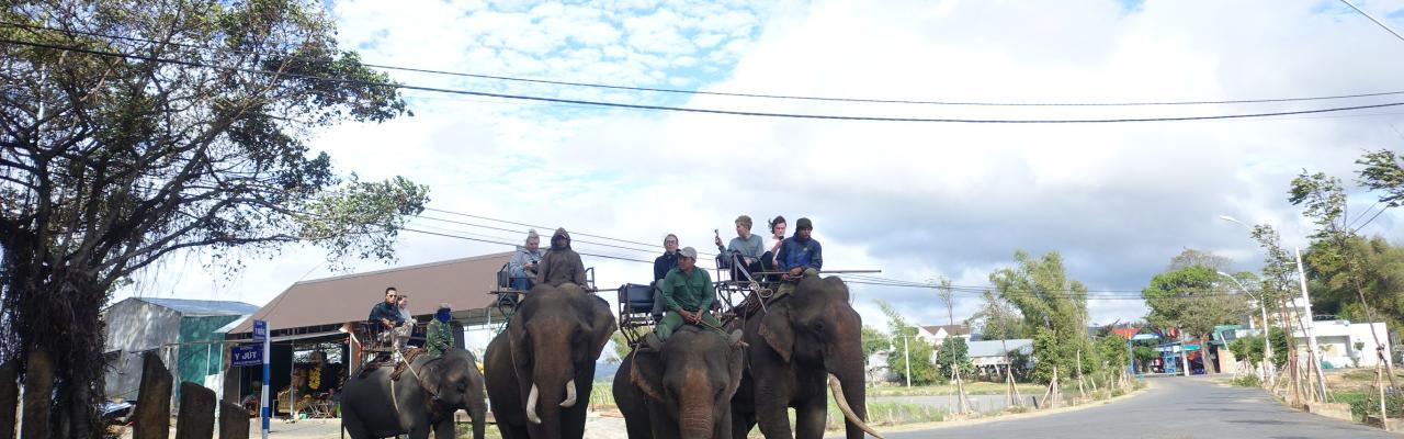 Nha Trang – Ban Me Thuot – Lak Lake – Da Lat – Mui Ne