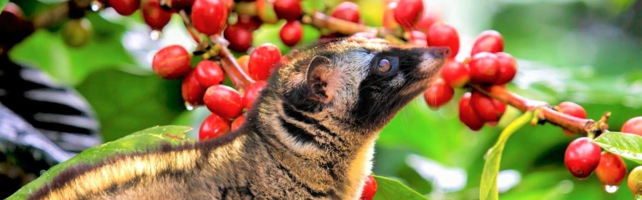 Sai Gon – Dong Xoai – Dak Mil – Ban Me Thuot – Lak Lake – Nha Trang