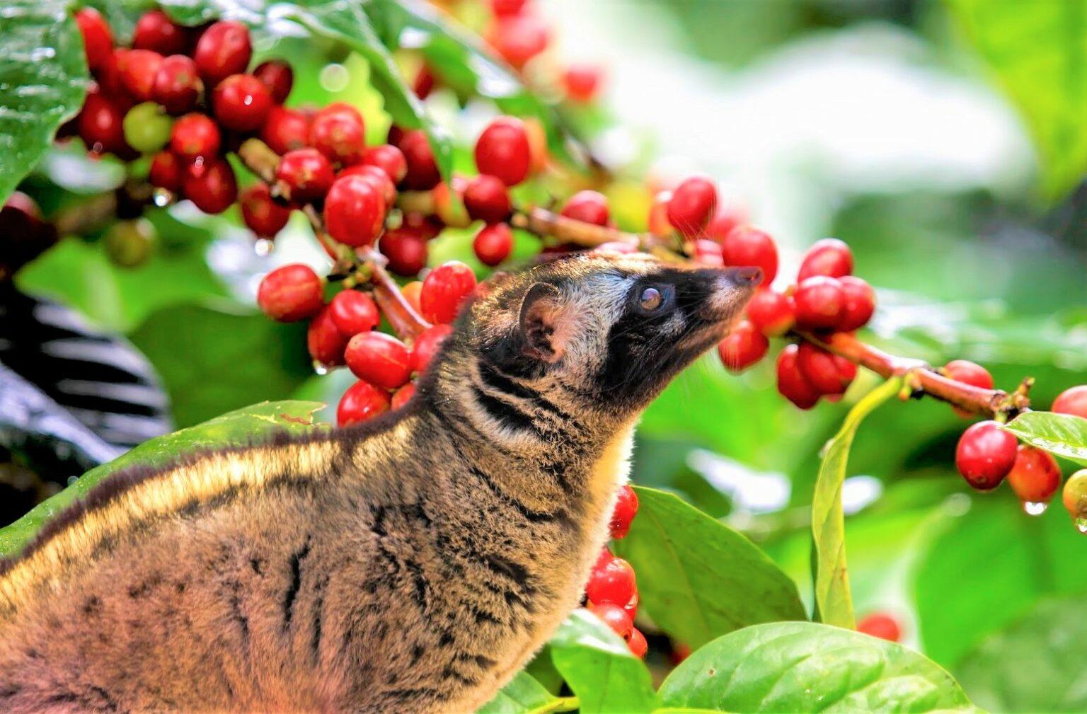 Sai Gon – Dong Xoai – Dak Mil – Ban Me Thuot – Lak Lake – Nha Trang